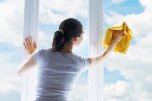 City wide window cleaning services