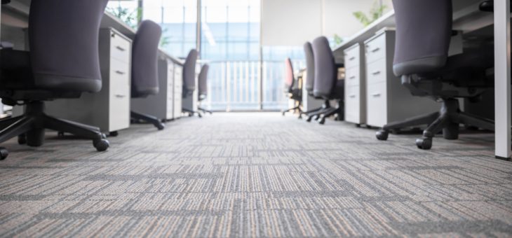 What Are the Benefits of Organic Carpet Cleaning?
